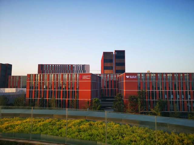 00后交友恋爱软件有哪些